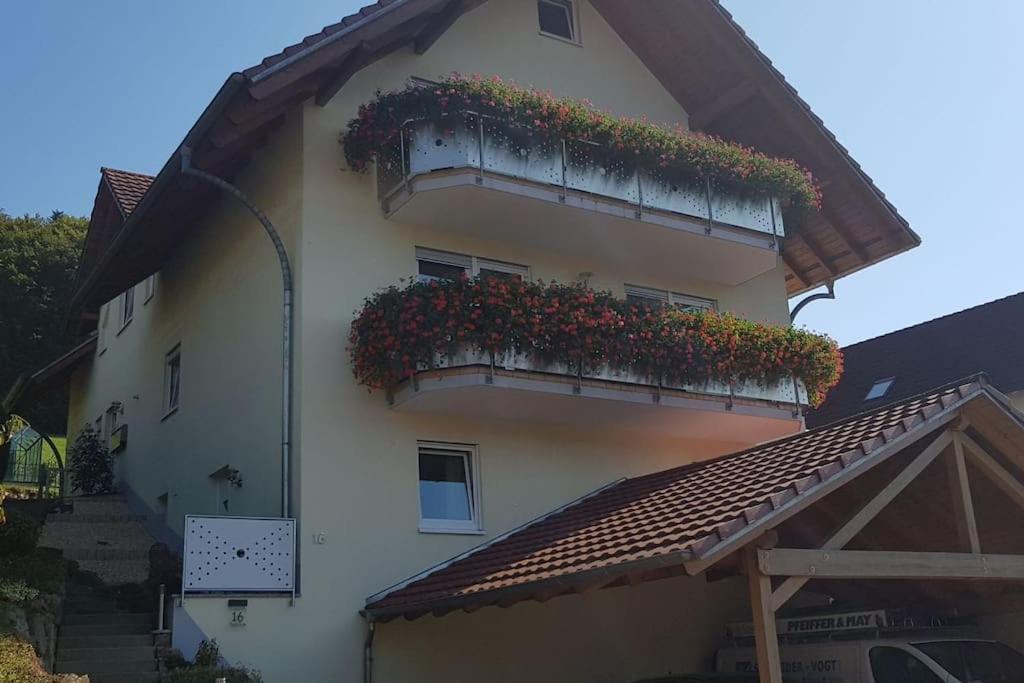 Ferienwohnung Talblick Im Schwarzwald Seelbach  Esterno foto