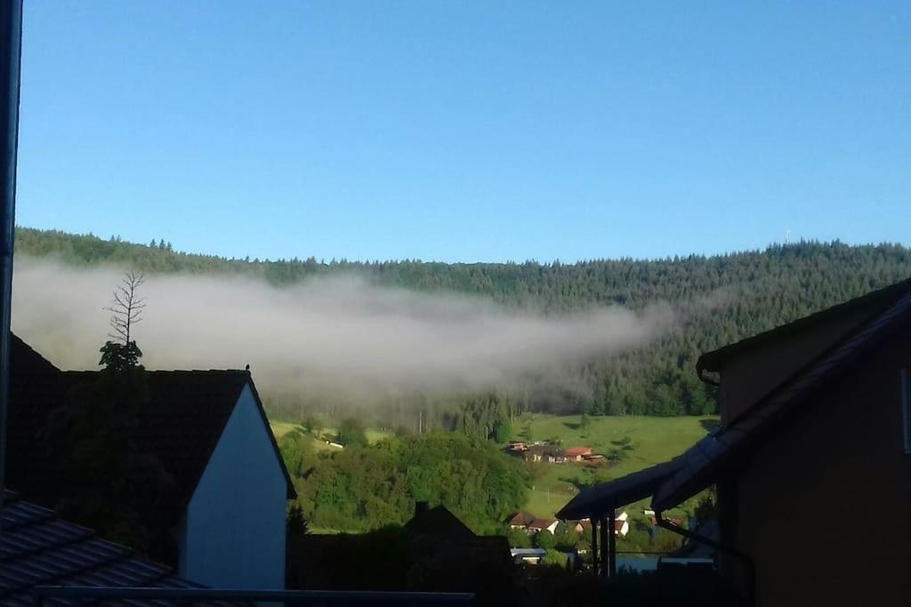 Ferienwohnung Talblick Im Schwarzwald Seelbach  Esterno foto
