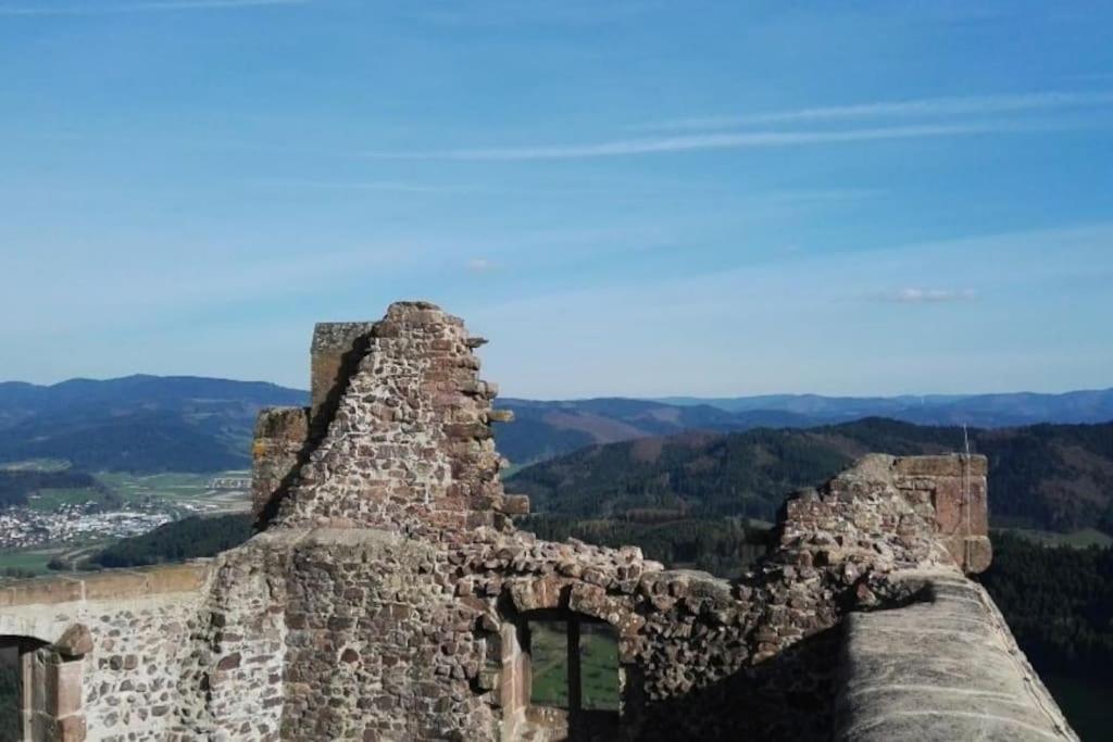 Ferienwohnung Talblick Im Schwarzwald Seelbach  Esterno foto
