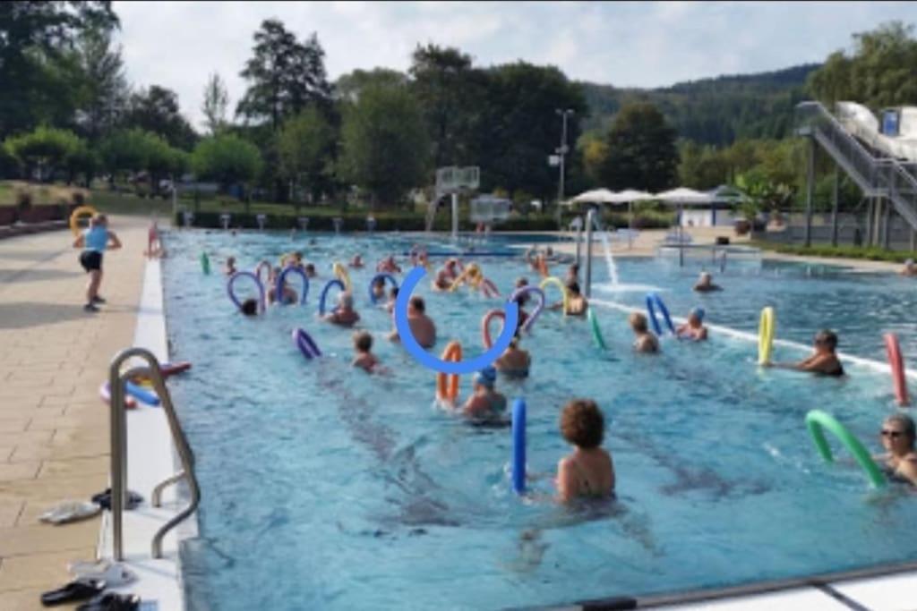 Ferienwohnung Talblick Im Schwarzwald Seelbach  Esterno foto