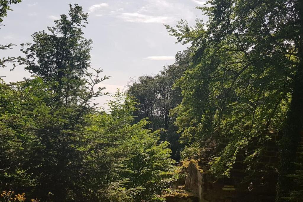 Ferienwohnung Talblick Im Schwarzwald Seelbach  Esterno foto