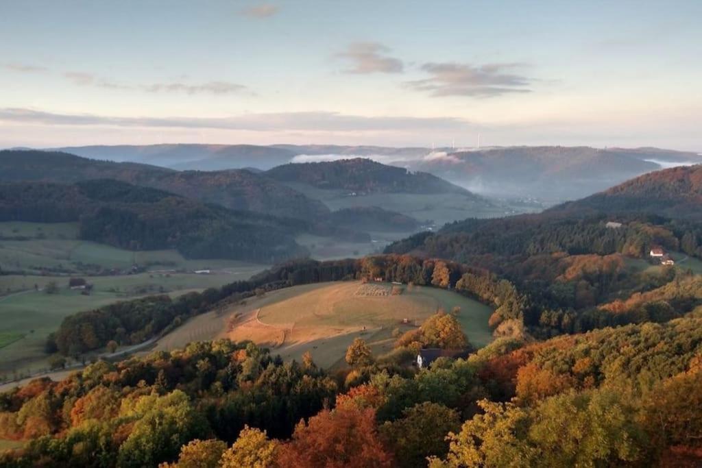 Ferienwohnung Talblick Im Schwarzwald Seelbach  Esterno foto