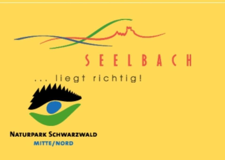 Ferienwohnung Talblick Im Schwarzwald Seelbach  Esterno foto
