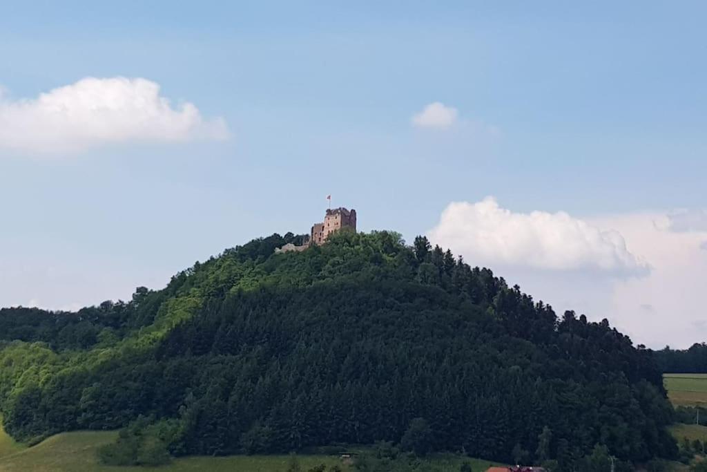 Ferienwohnung Talblick Im Schwarzwald Seelbach  Esterno foto