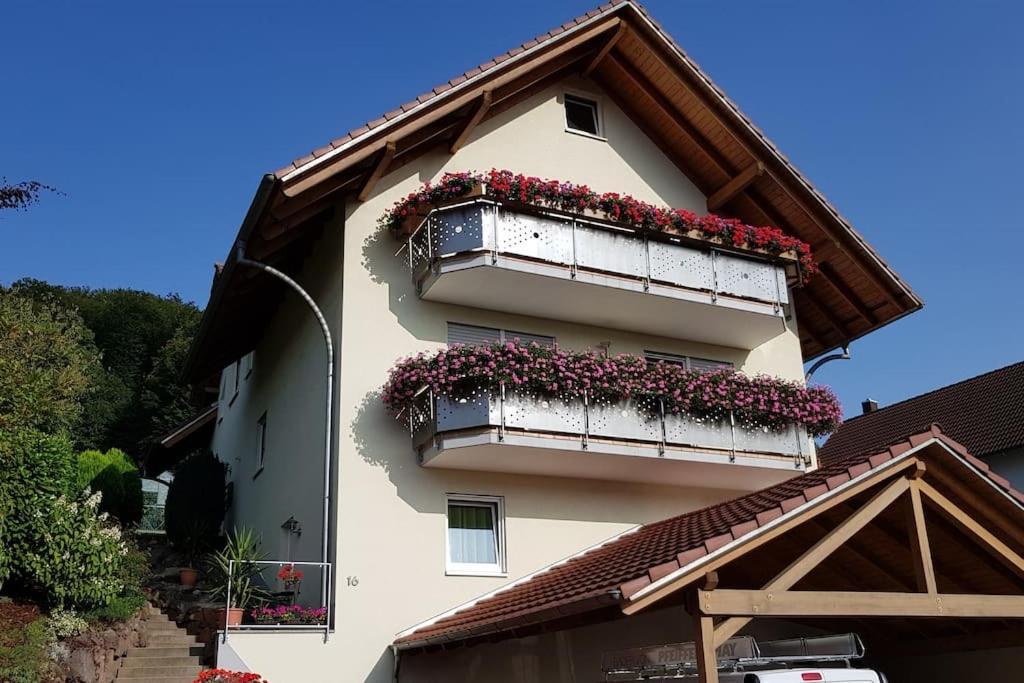 Ferienwohnung Talblick Im Schwarzwald Seelbach  Esterno foto