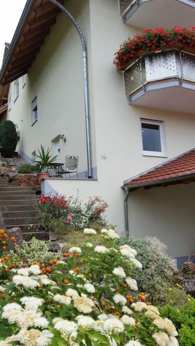 Ferienwohnung Talblick Im Schwarzwald Seelbach  Esterno foto