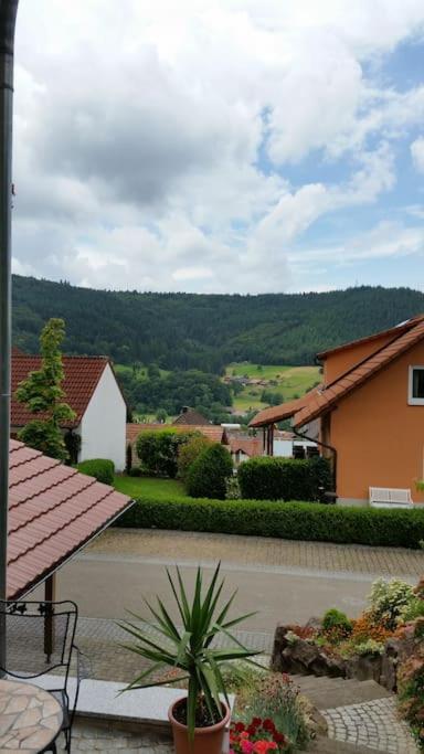 Ferienwohnung Talblick Im Schwarzwald Seelbach  Esterno foto